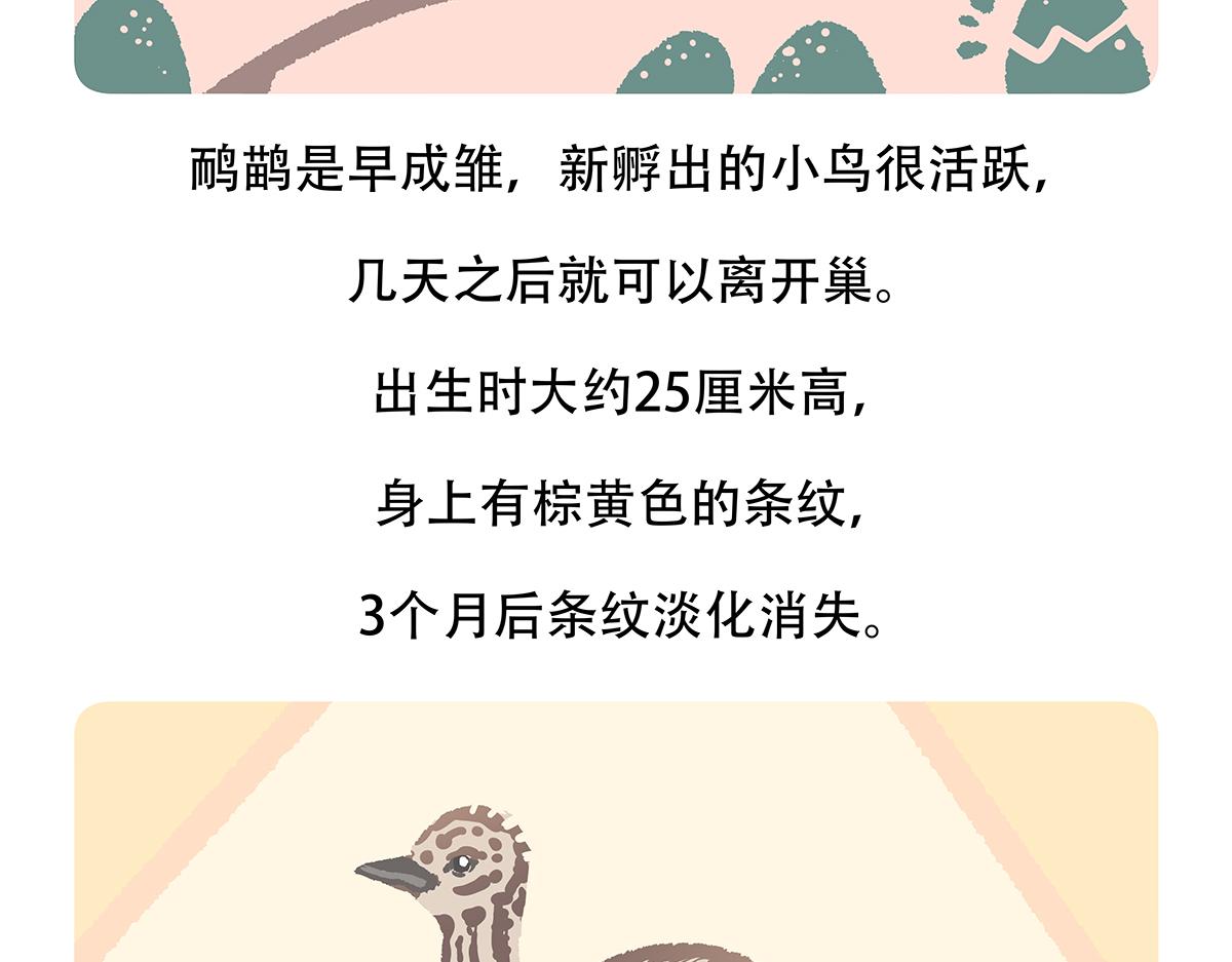 第106话23