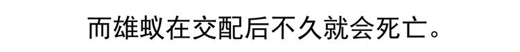 第11话22