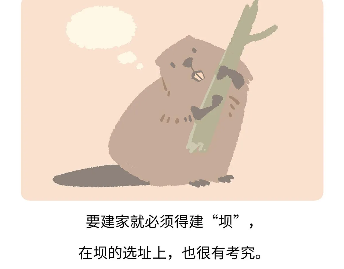 第200话19