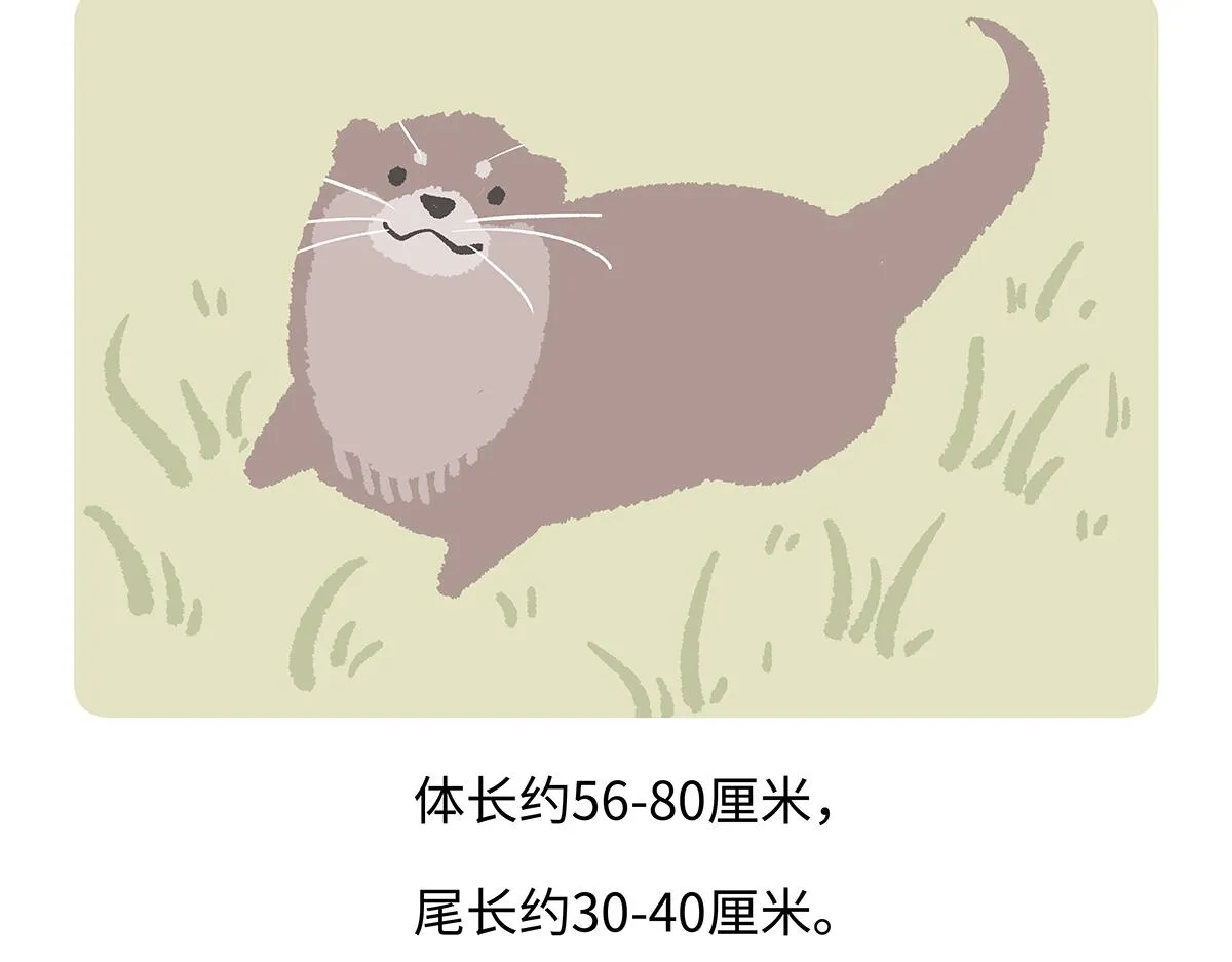 第197话19