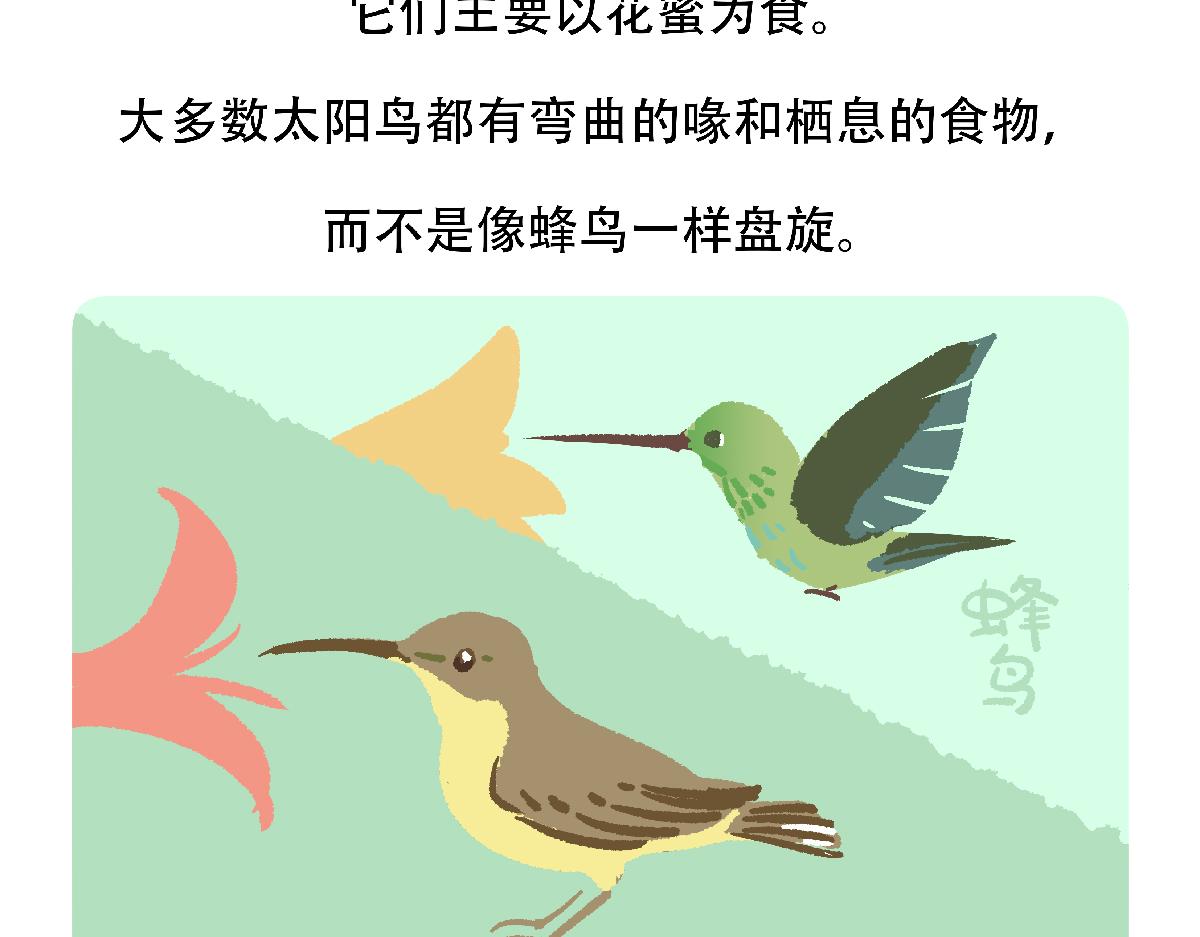 第126话27