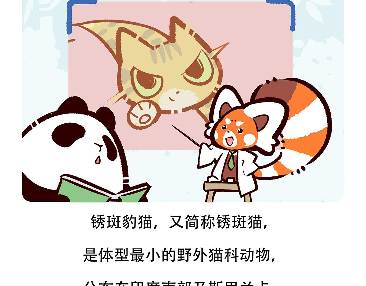 第116话30
