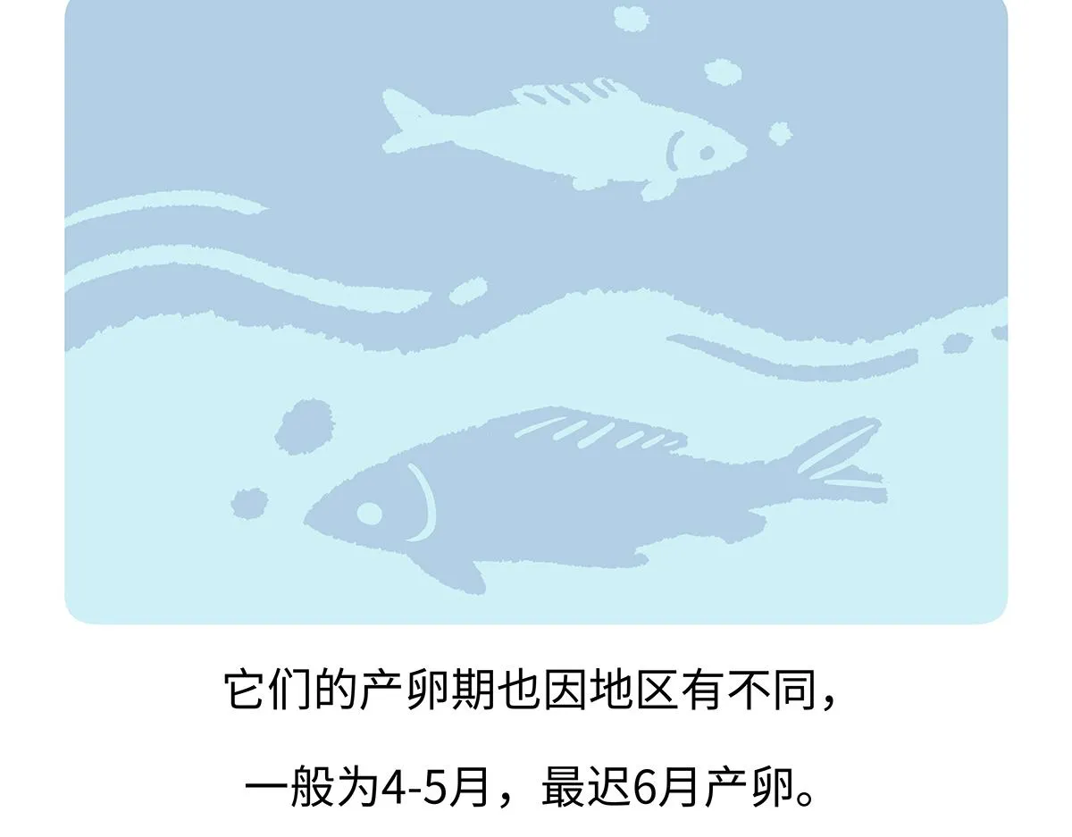 第194话26