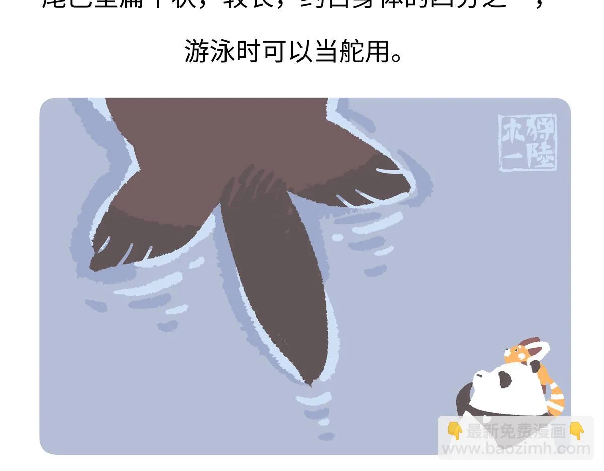 第204话24