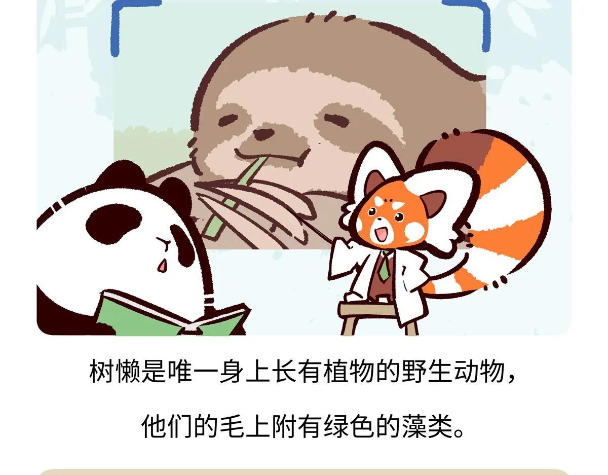 第213话18