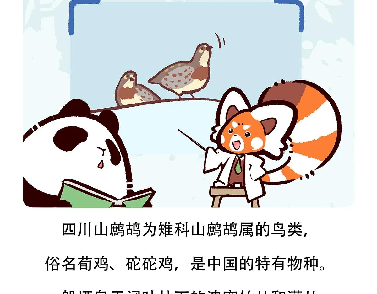 第146话19