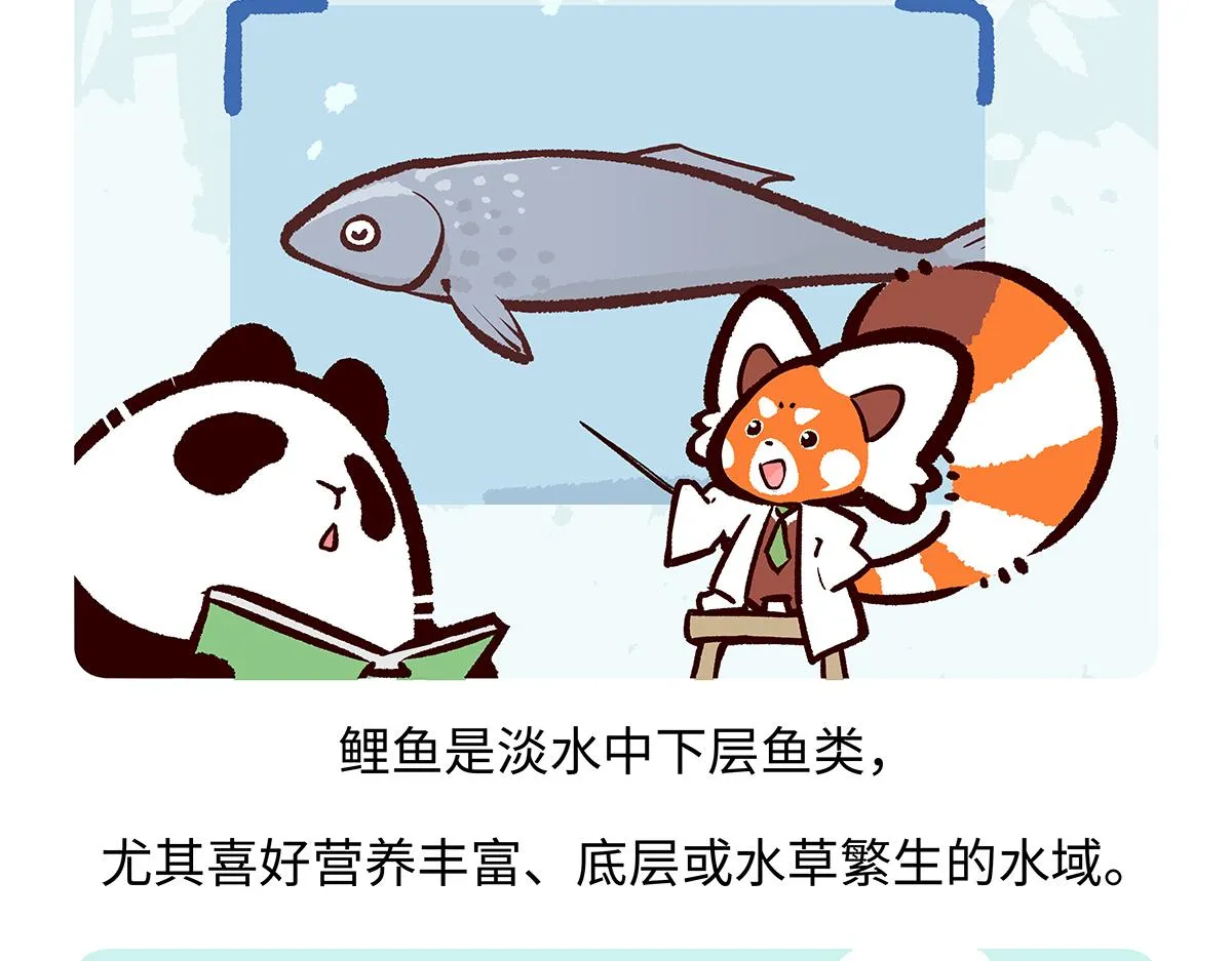 第194话18
