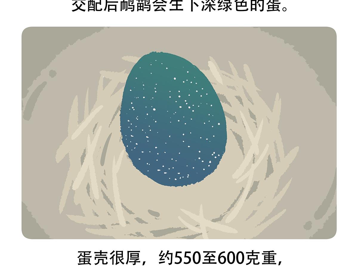 第105话27