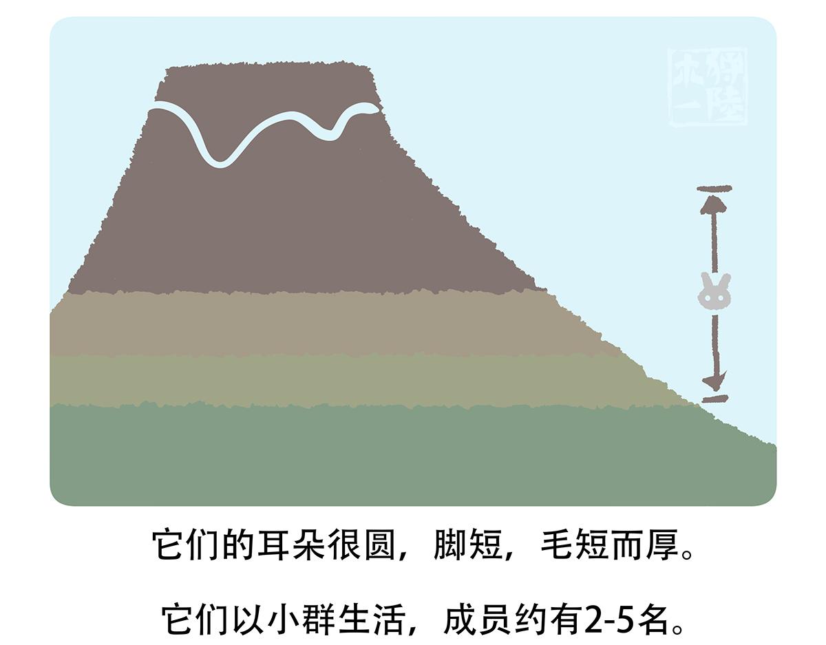 第115话22