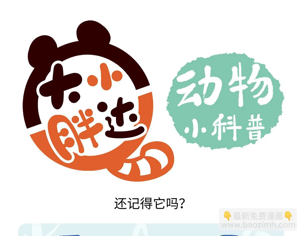 第194话17