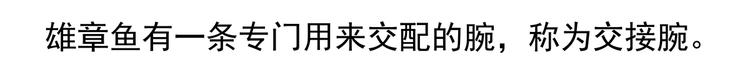 第40话22