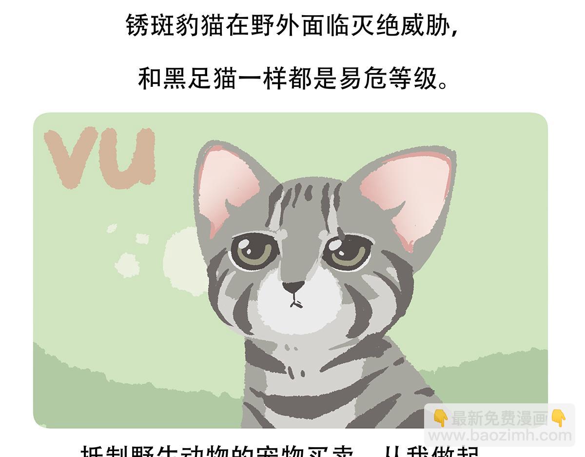 第116话34