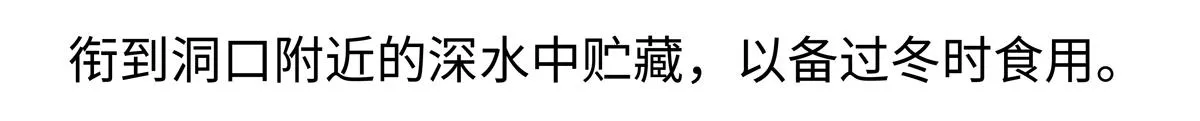 第211话19
