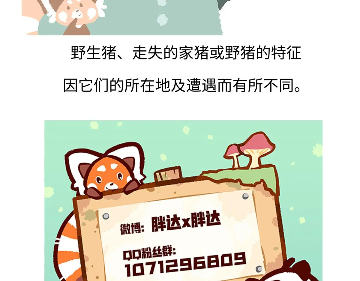 第178话29