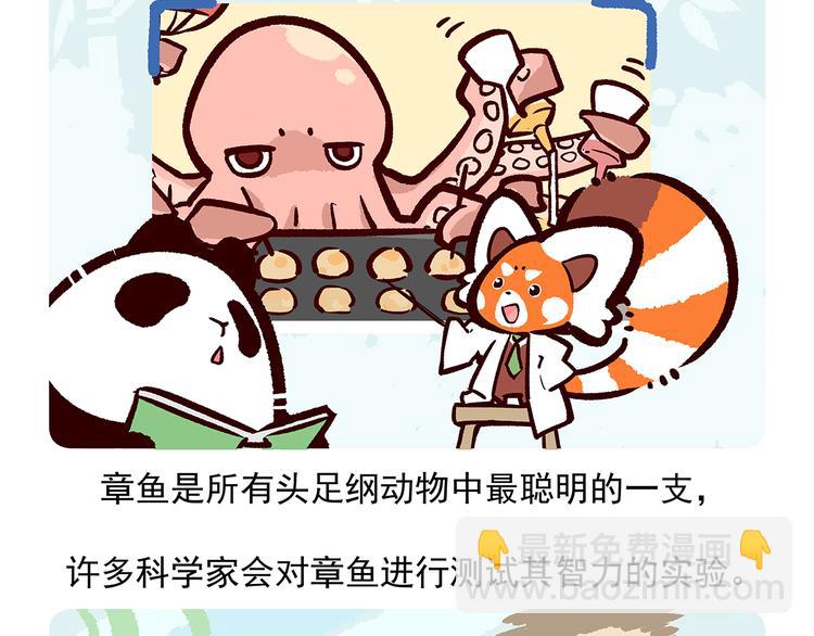 第43话13