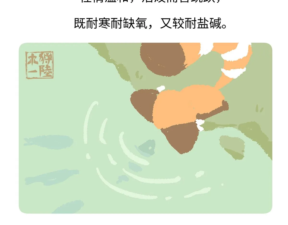 第194话22
