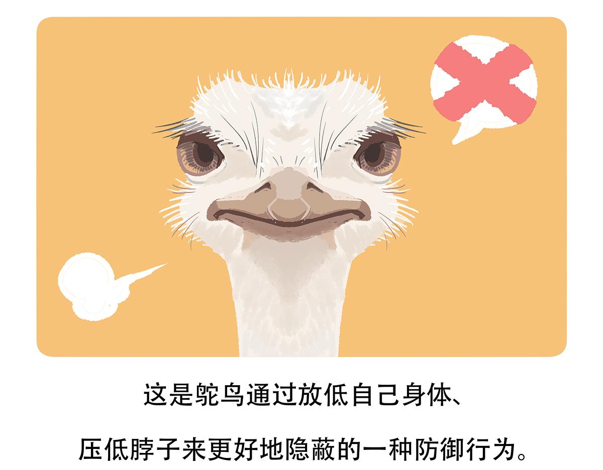 第104话22