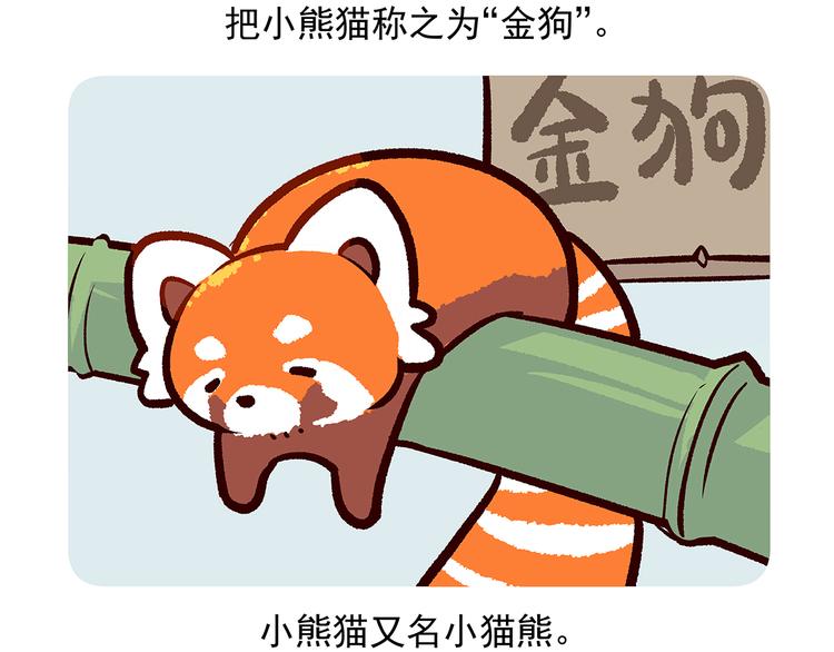 第51话27
