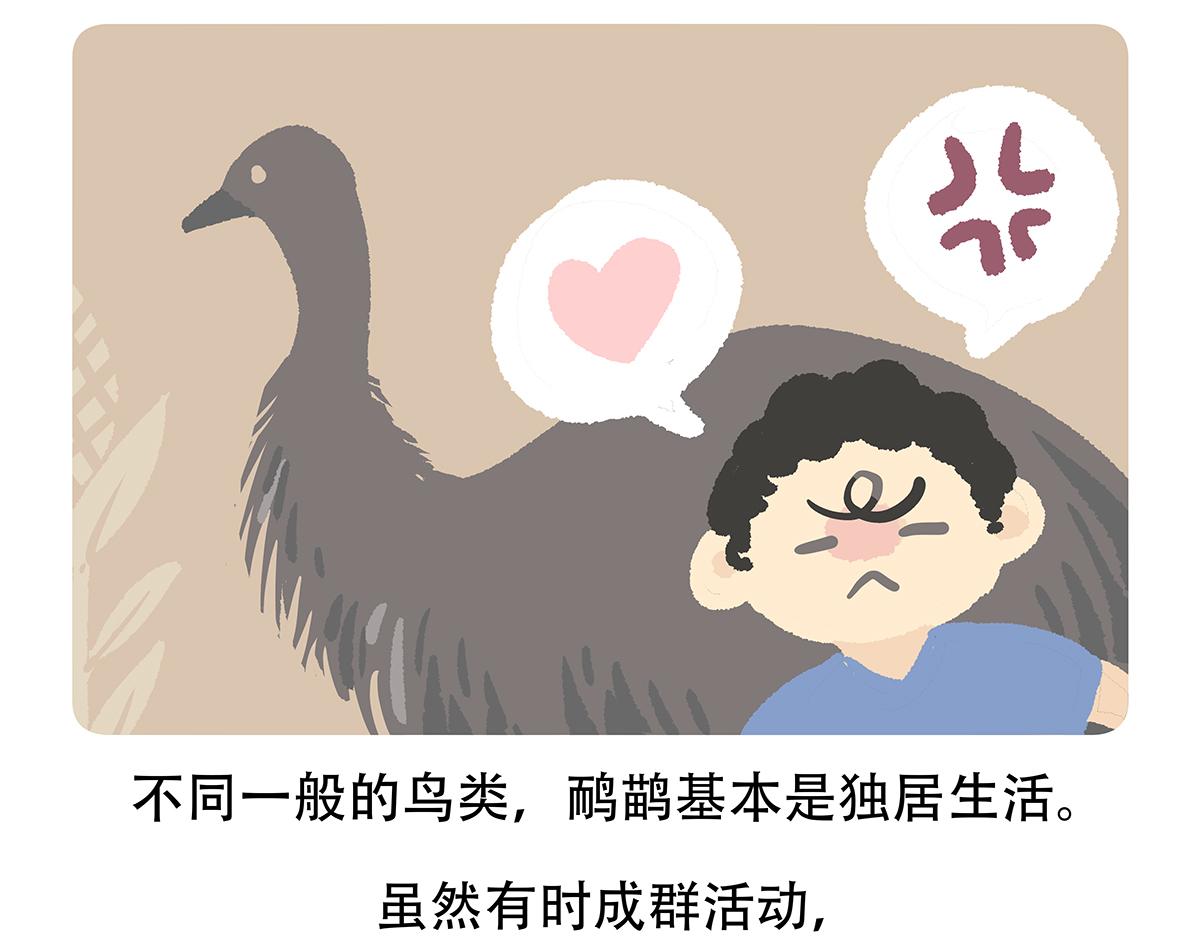 第105话22