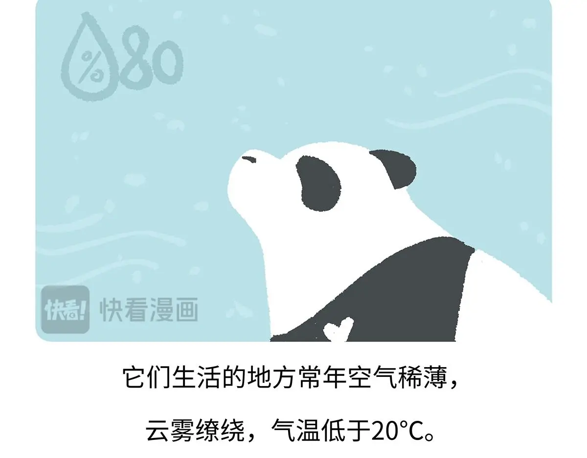 第192话17