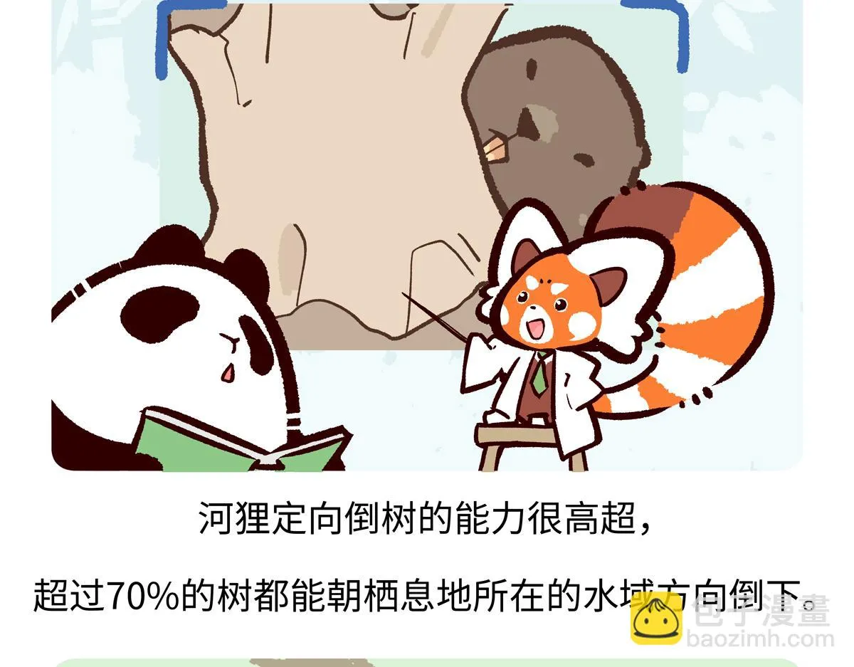 第208话17