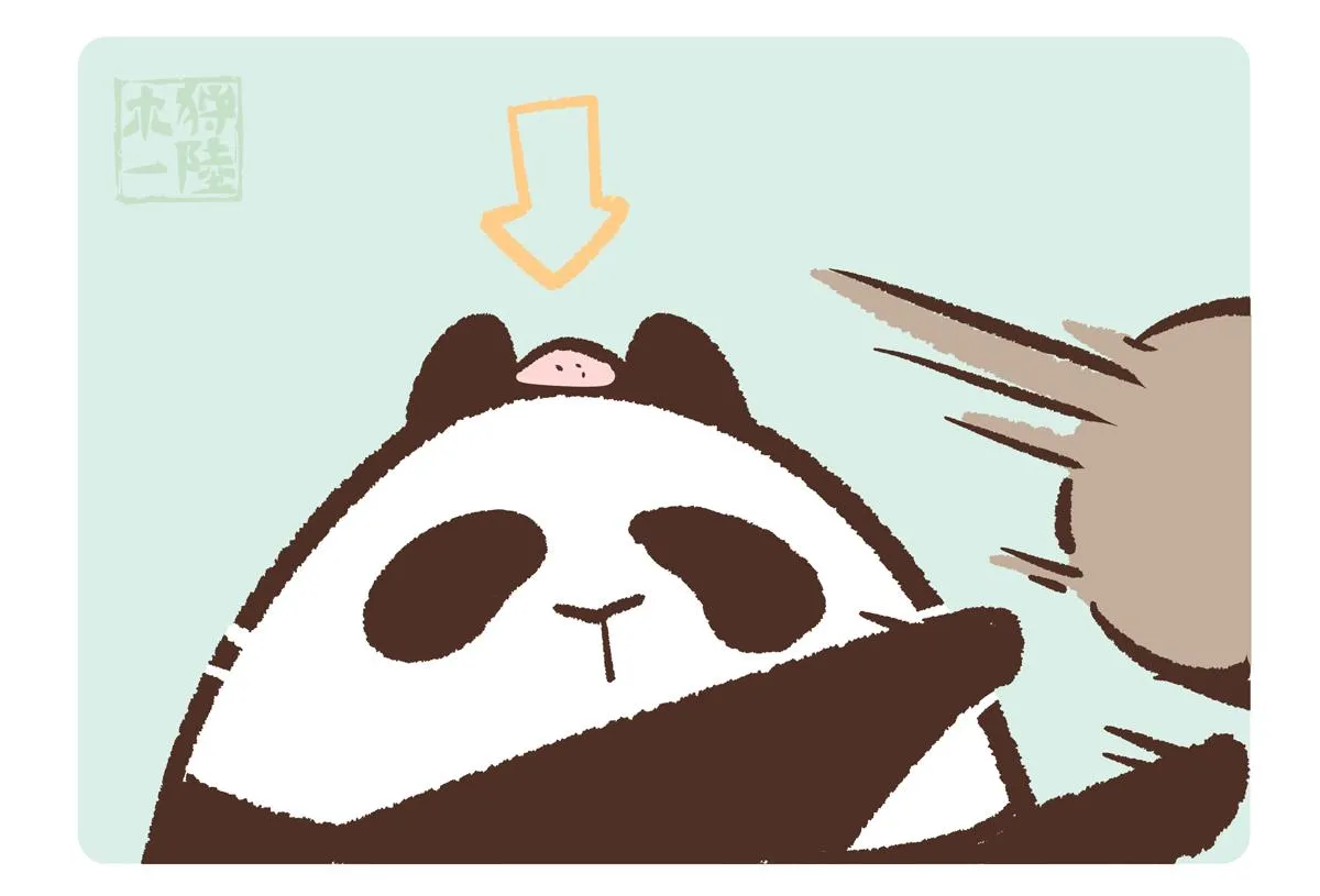 第208话13