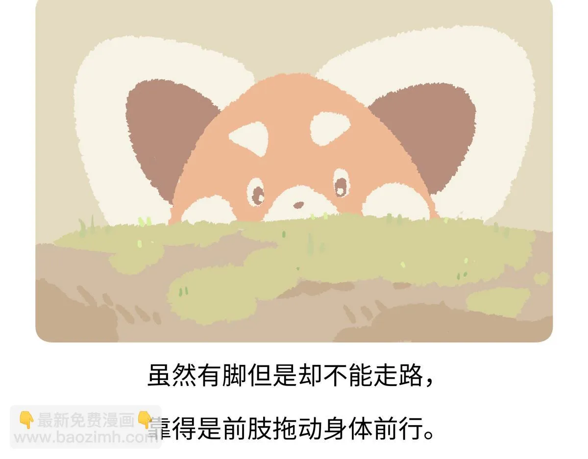 第213话19
