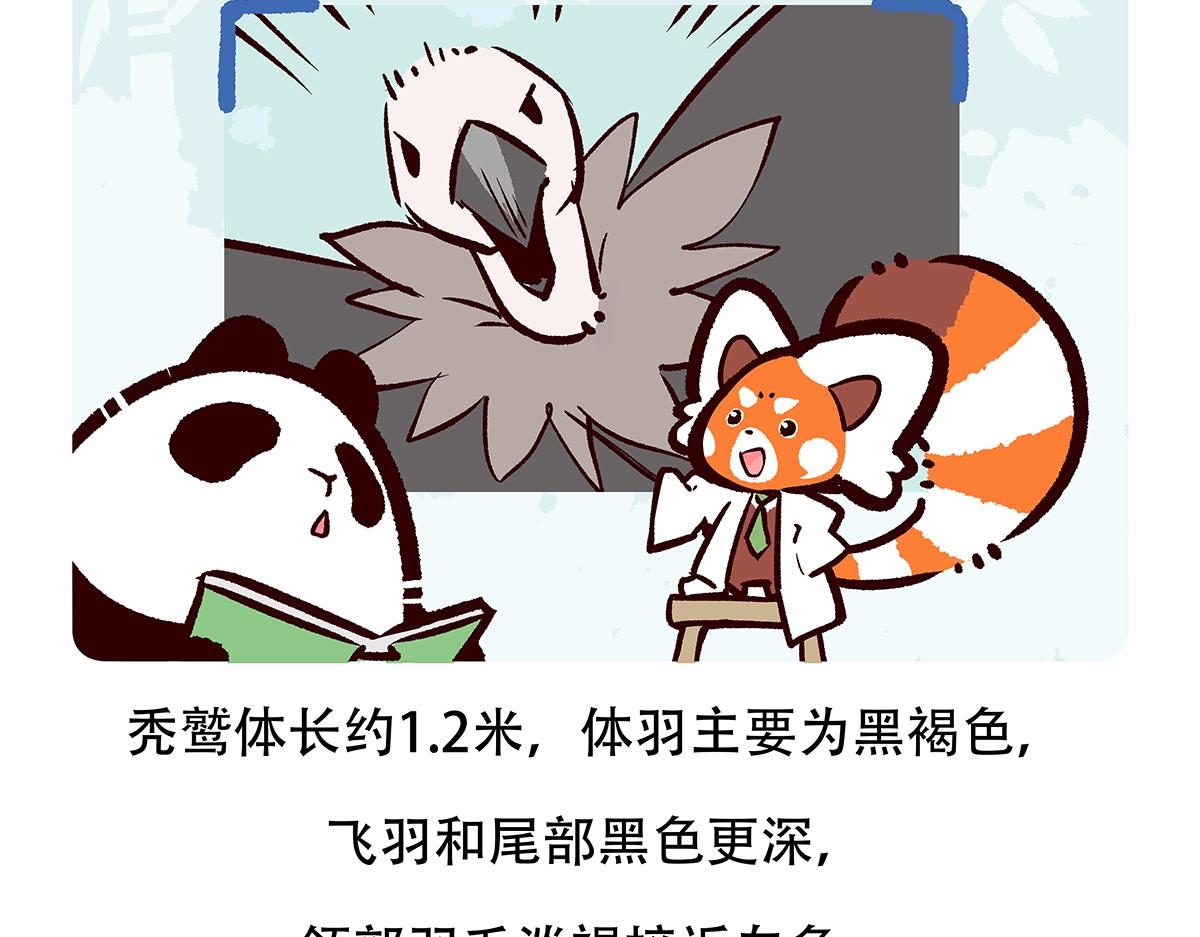 第84话19