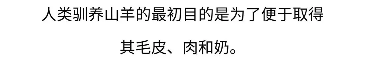 第170话19
