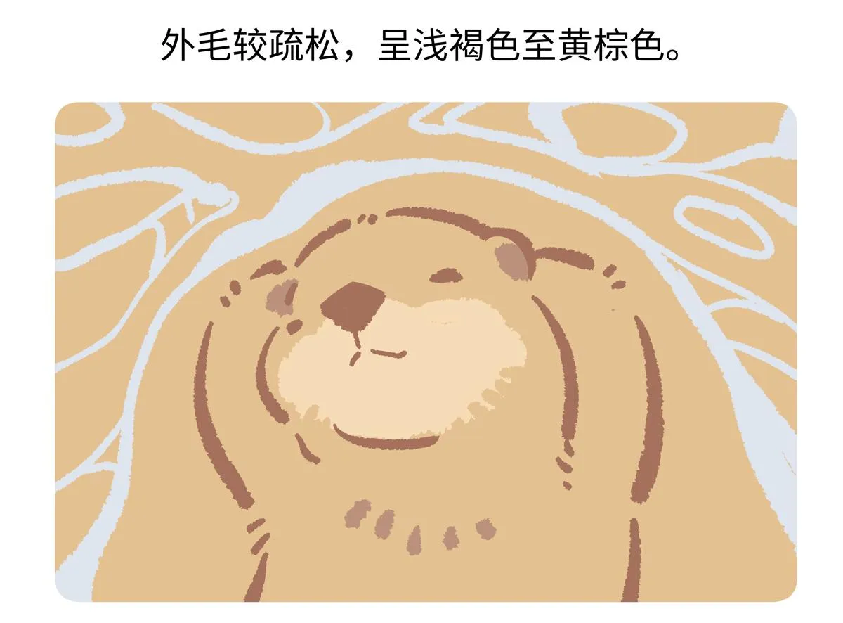 第204话29