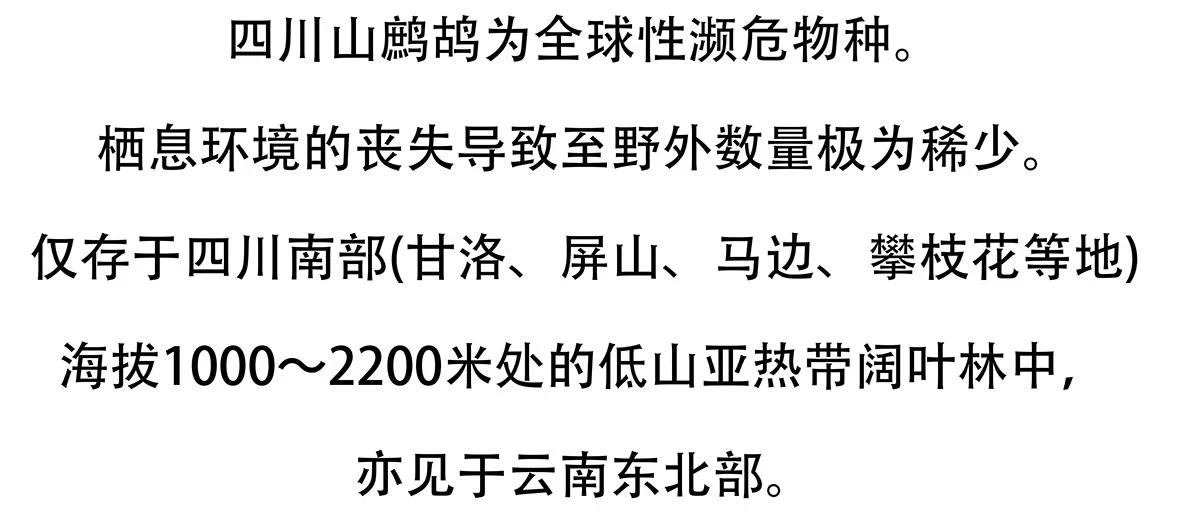 第146话21
