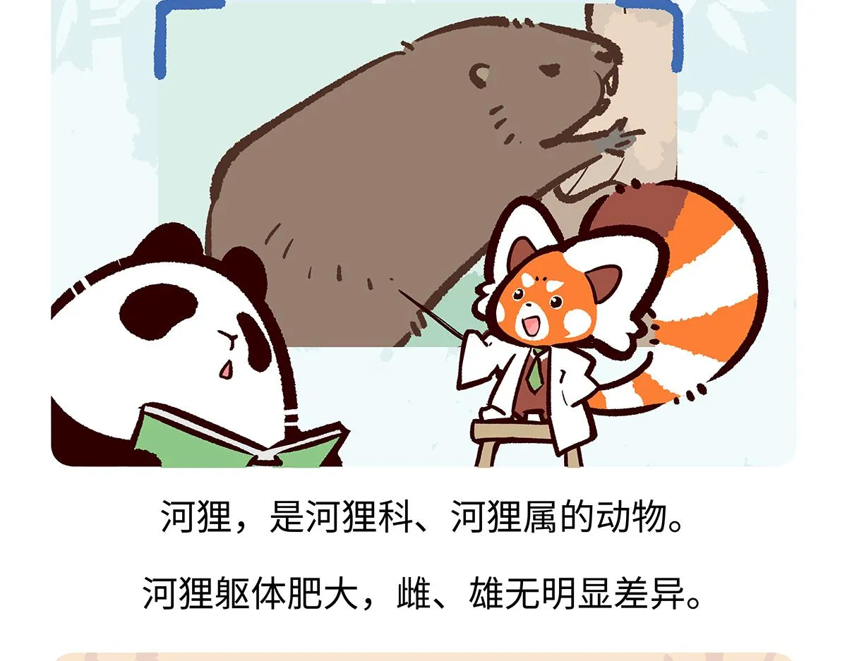 第199话19