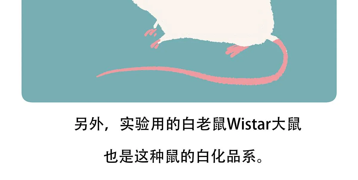第154话24