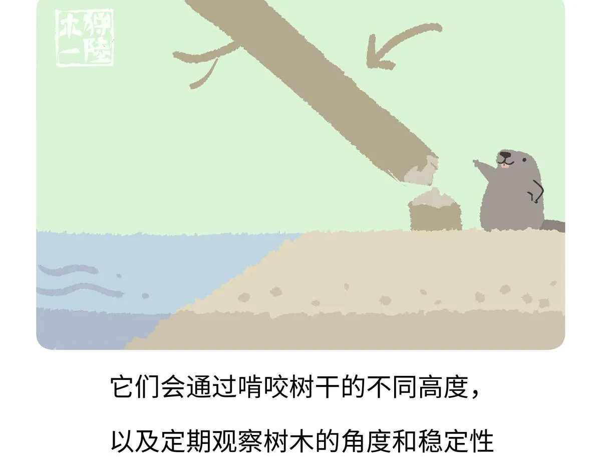 第208话18
