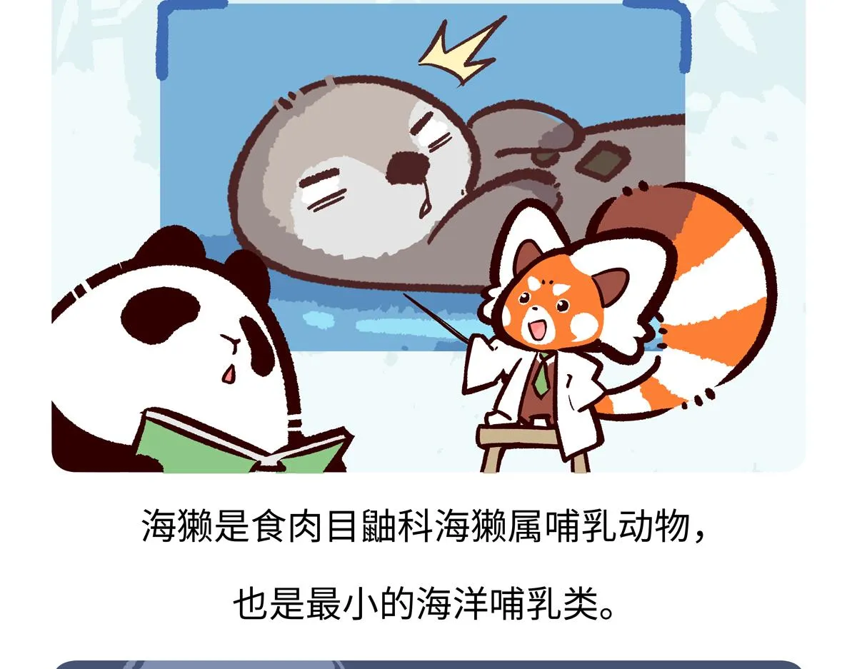 第204话20