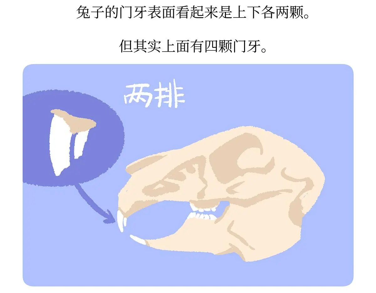 第160话30