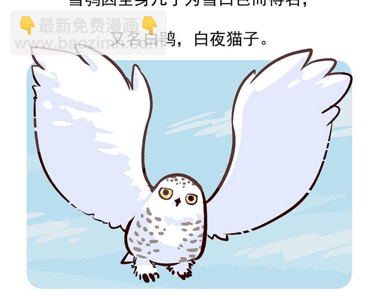 第35话21