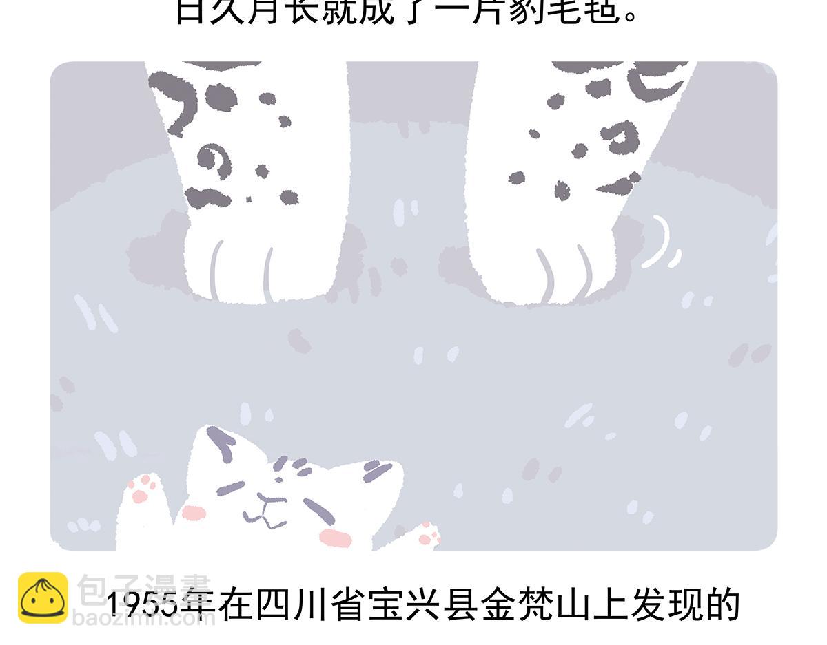 第95话27