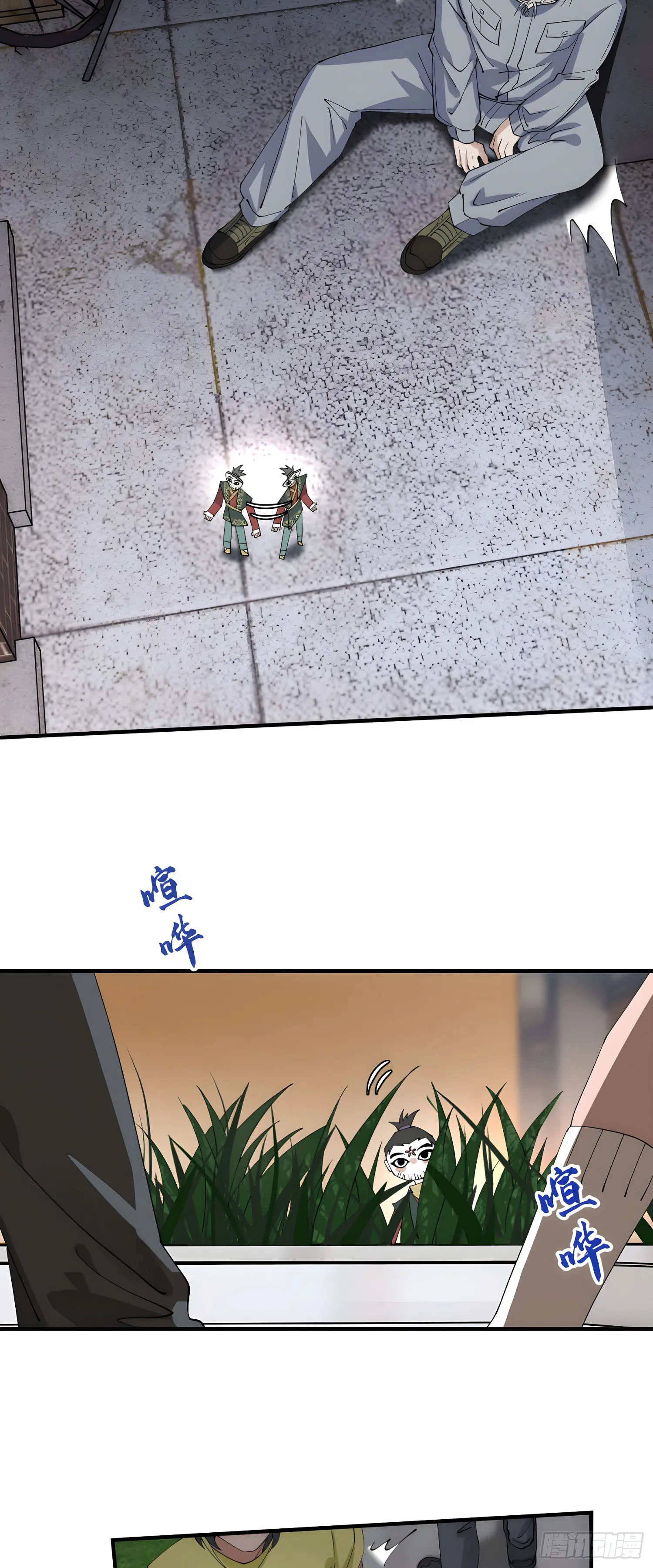 他秃了6
