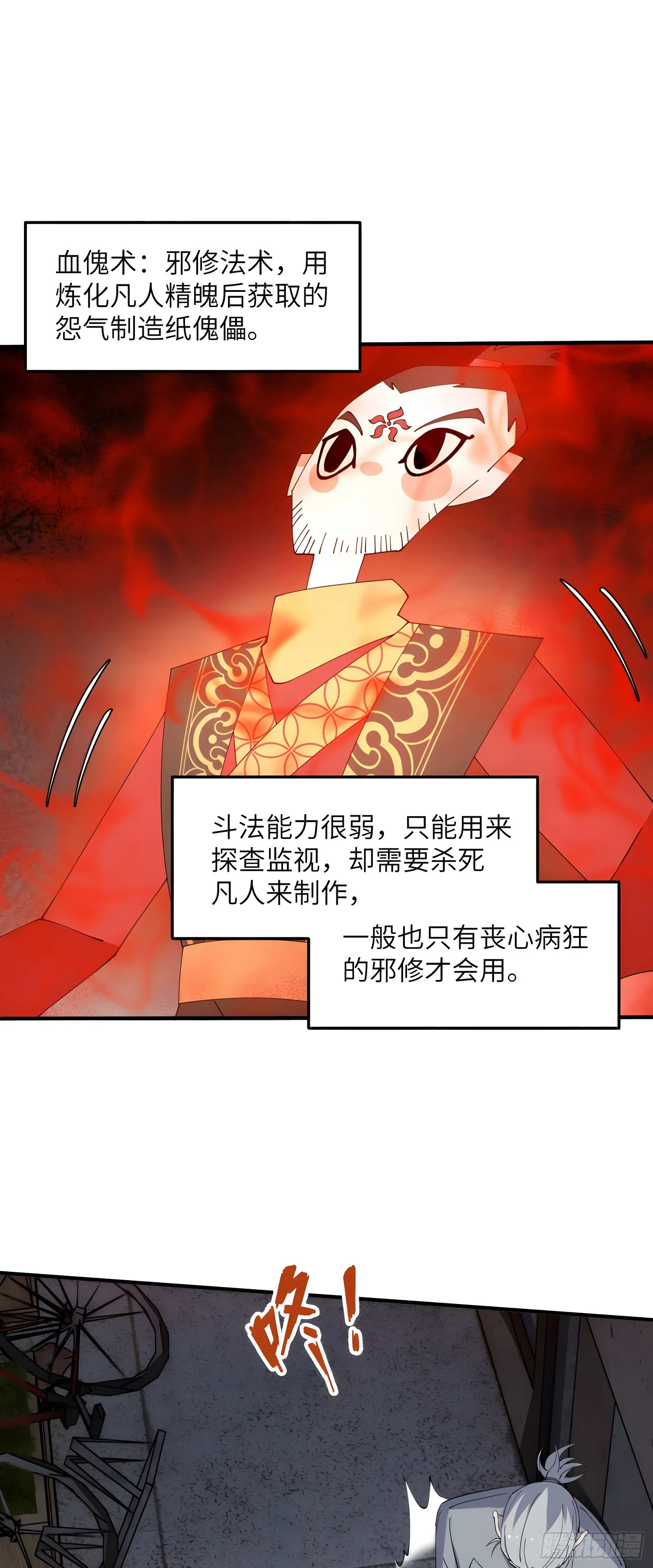 他秃了5