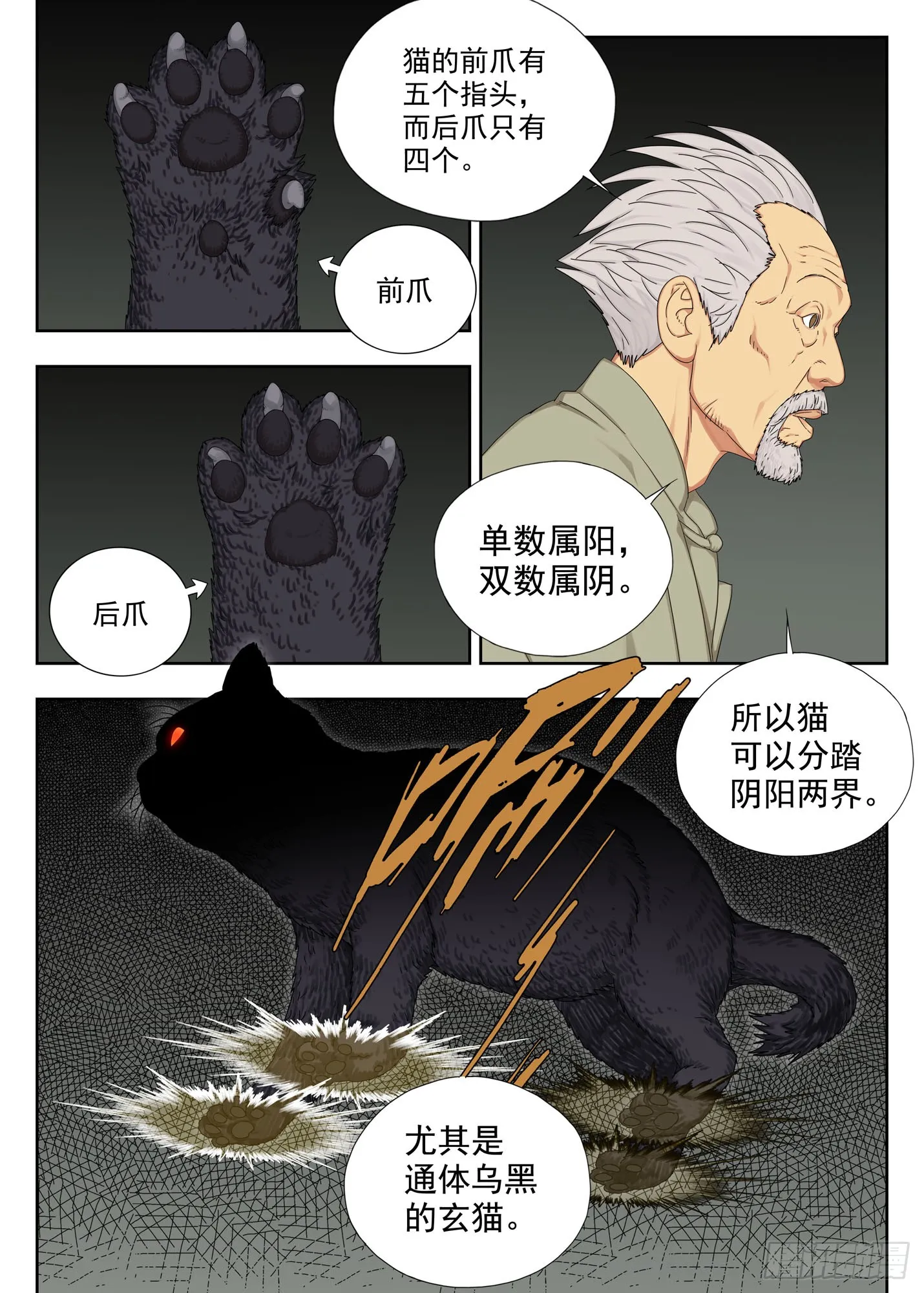 玄猫4