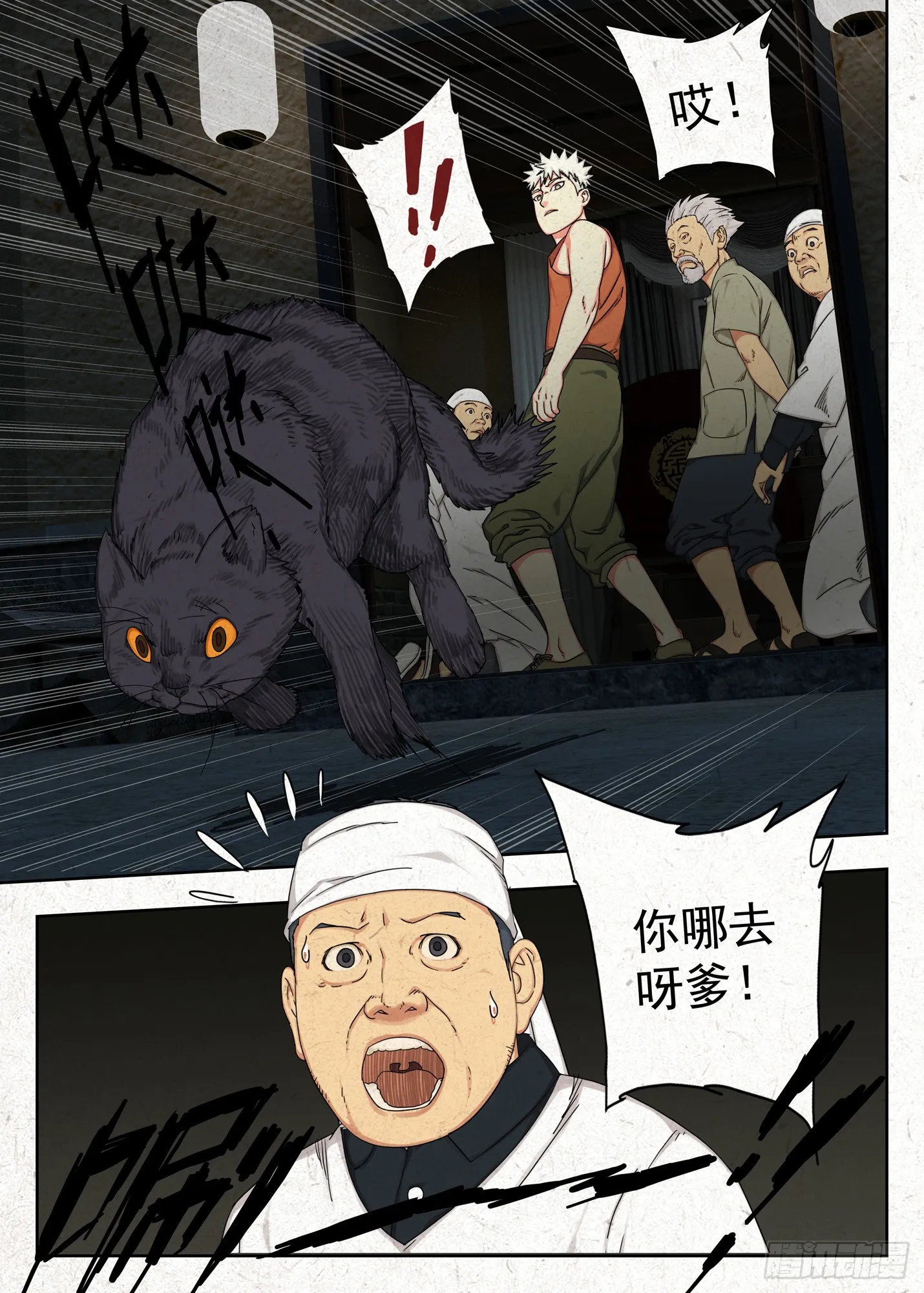 玄猫14