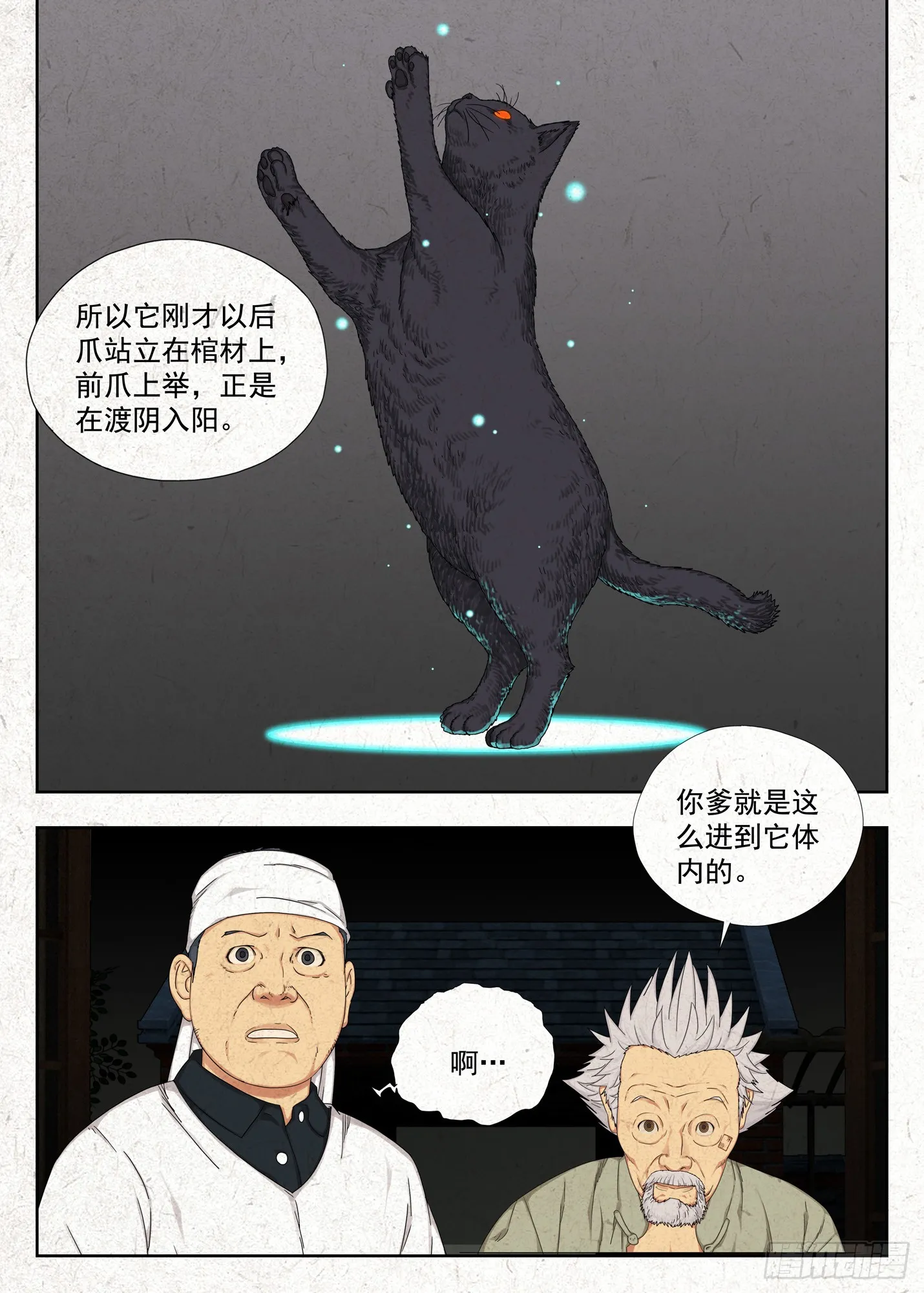 玄猫5