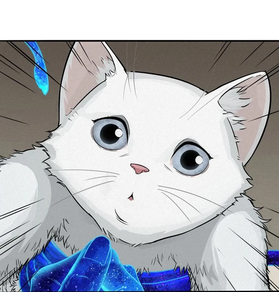 29话 护猫使者（下）46