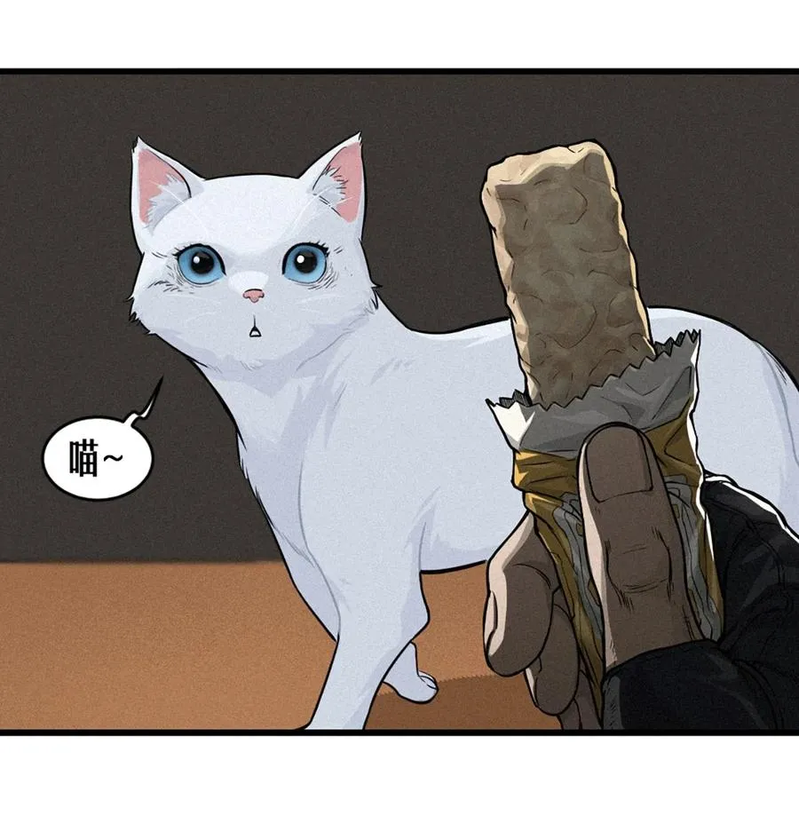 29话 护猫使者（上）14