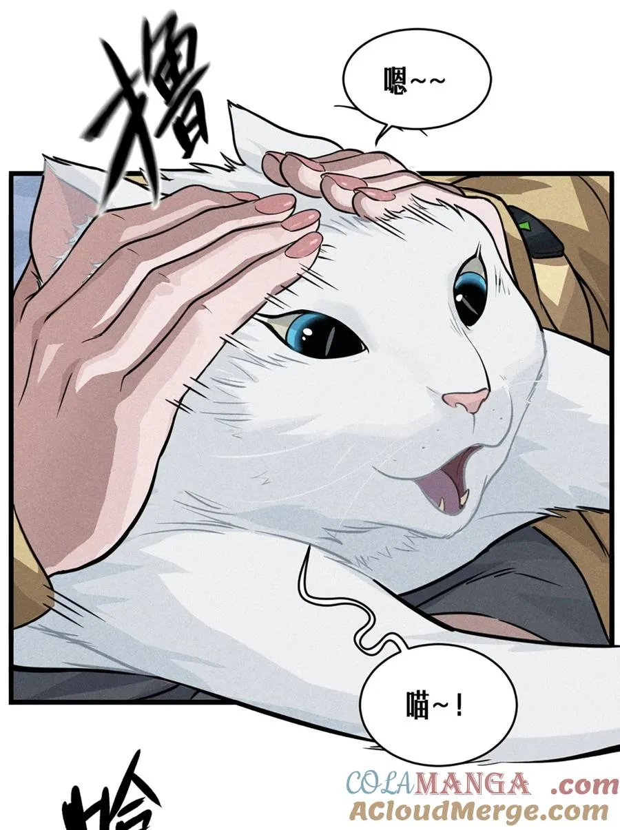 29话 护猫使者（上）39