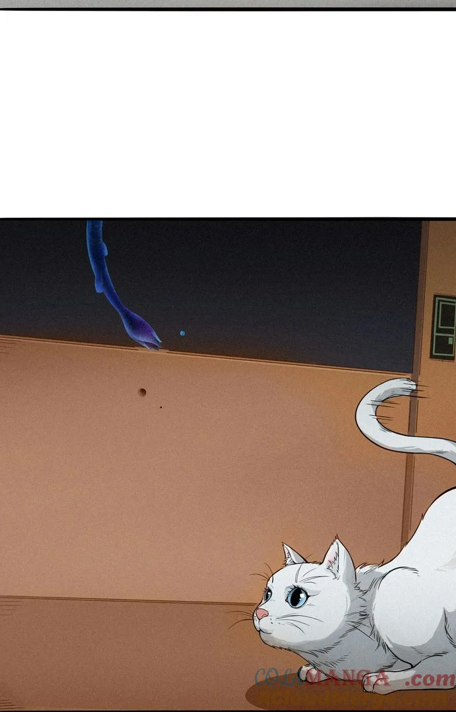 29话 护猫使者（下）69
