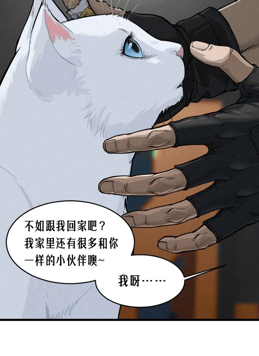 29话 护猫使者（上）16