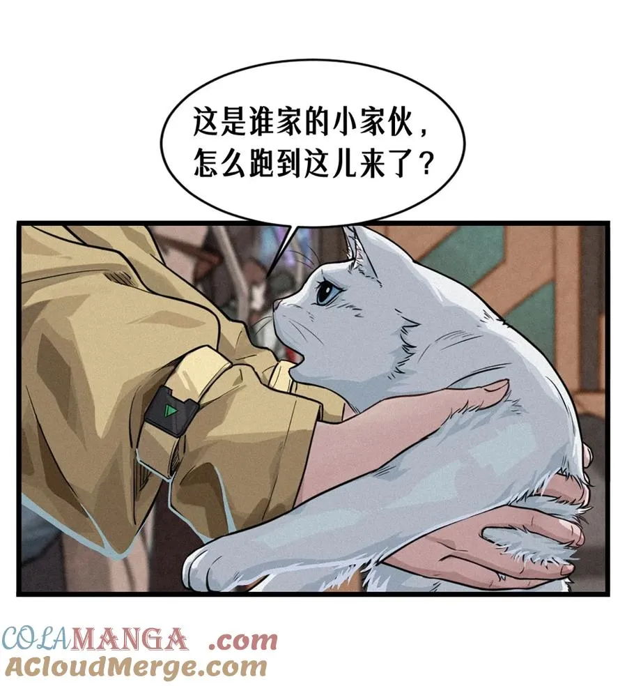 29话 护猫使者（上）36