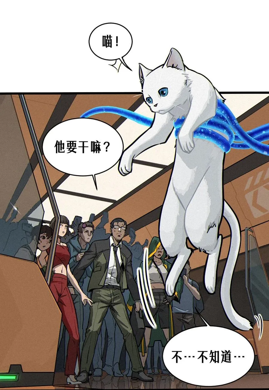 29话 护猫使者（下）38